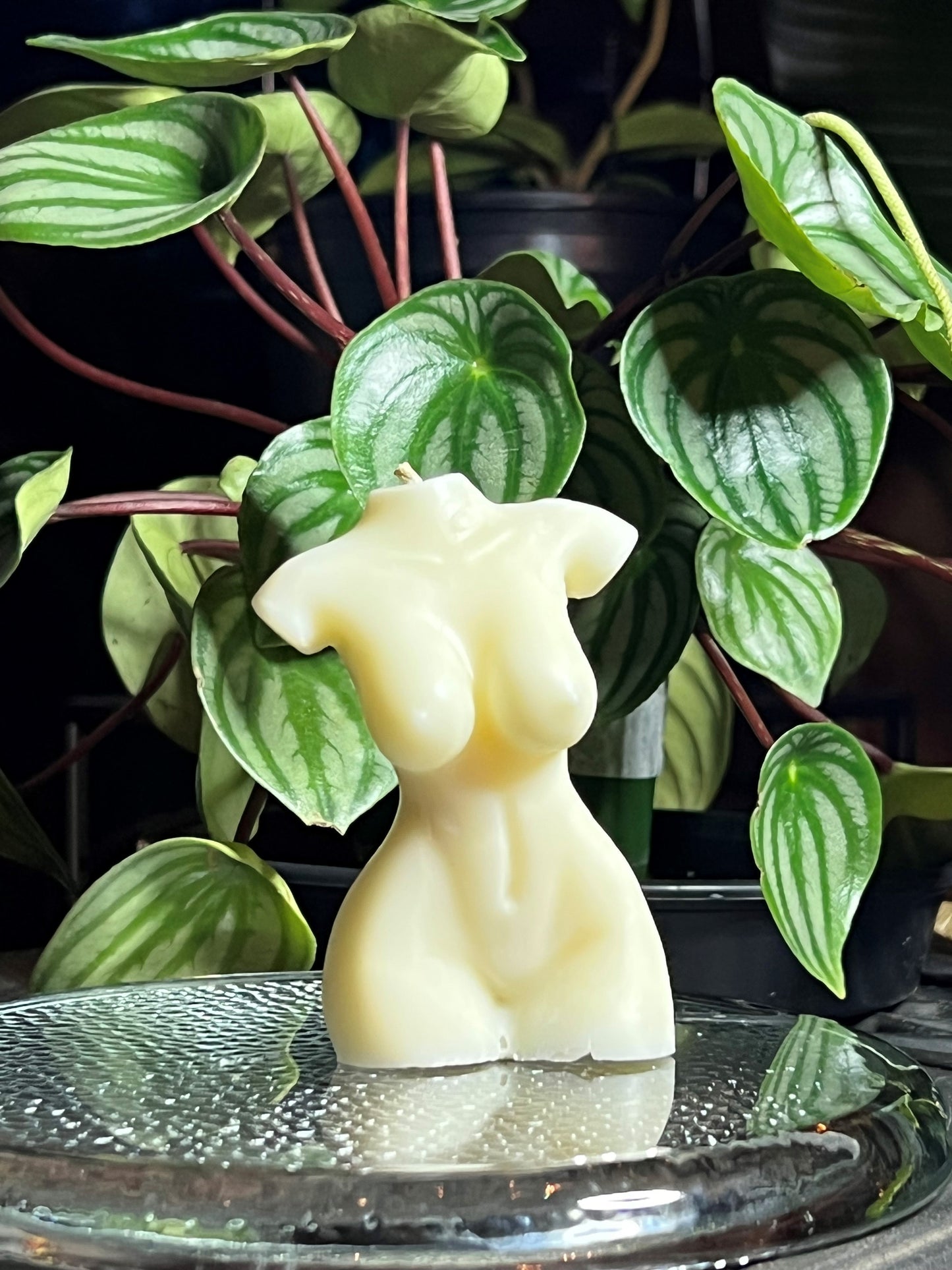 Nefertiti